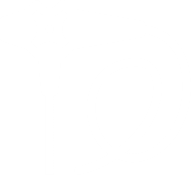 Ameesa Medical